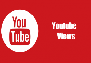deliver 1,000 youtube views