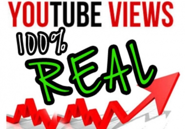 give your YouTube Video Over 4000 Unique Real Views guaranteed