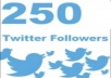 add 250 real Twitter Followers 