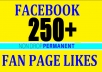 provdie 250 fan page likes