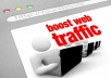Send 10,000 Real Website Traffic
