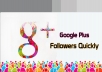 I will give 100 USA Google Plus Followers