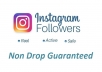 give you 500+ Non Drop Guaranteed Instagram Followers