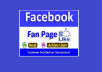 Provide Real High Quality 100+ non drop Facebook Fanpage Likes