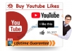 Lifetime Guarantee 20+ Manual youtube custom comments OR 20+ youtube video like