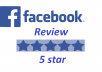 give 30 Facebook Fanpage five star positive review votes for your fanpage