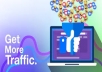get you 1,000 website traffic 