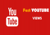 deliver 1000 Youtube Video Views GREAT OFFER LIMITED TOP RATED SELLER