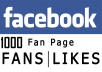 deliver 150 Facebook Fanpage Likes 